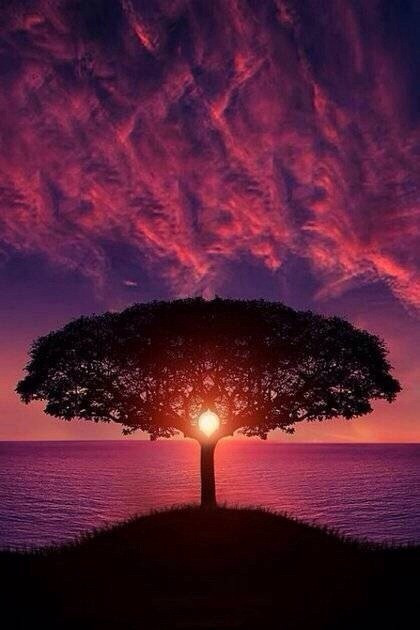 ZUZU品牌举办新品发布会，发布会主题为新生之美，寓意给予人们不一样的美丽色彩！