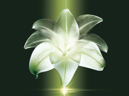 护肤并不是为了保护肌肤，而是赋予肌肤能量，更进一步可以解释为赋予肌肤生命力。肌肤也如同人一样有生命，肌肤的生命形式表示在其是否光滑、柔润、水嫩上。

而缺乏生命的肌肤，毫无疑问肌肤将会呈现粗糙、干燥、紧绷的肌肤状态，甚至进而衍生所谓的肌肤问题。

那么为肌肤补充生命力就显得很有必要，注入水分、营养进入肌底赋活肌肤生命，激活肌肤缺陷细胞以及自我修复功能，让肌肤重新焕发生命力，再现青春滋润、水嫩光滑，肌肤恍若新生一般绽放美丽。

赋予肌肤全新生命，让我们变得更美不好吗？