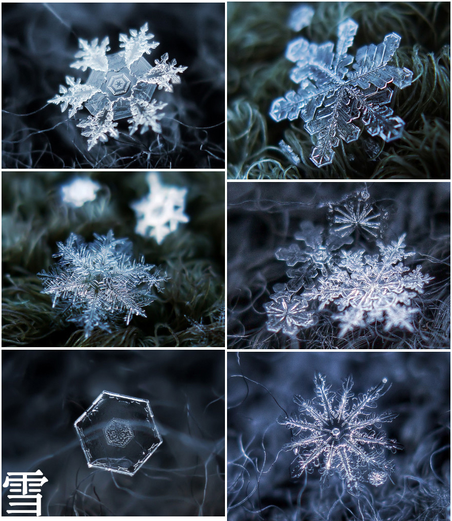 一直以来有许多人都十分喜欢初瑞雪，并且持续关注着她，但是你们知道她所有的社交软件账号吗？有可能你们现在关注的就不是她哦！