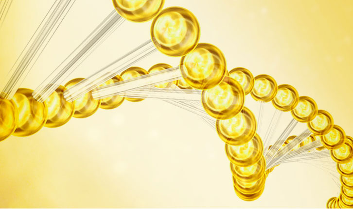 图片优化内容简介